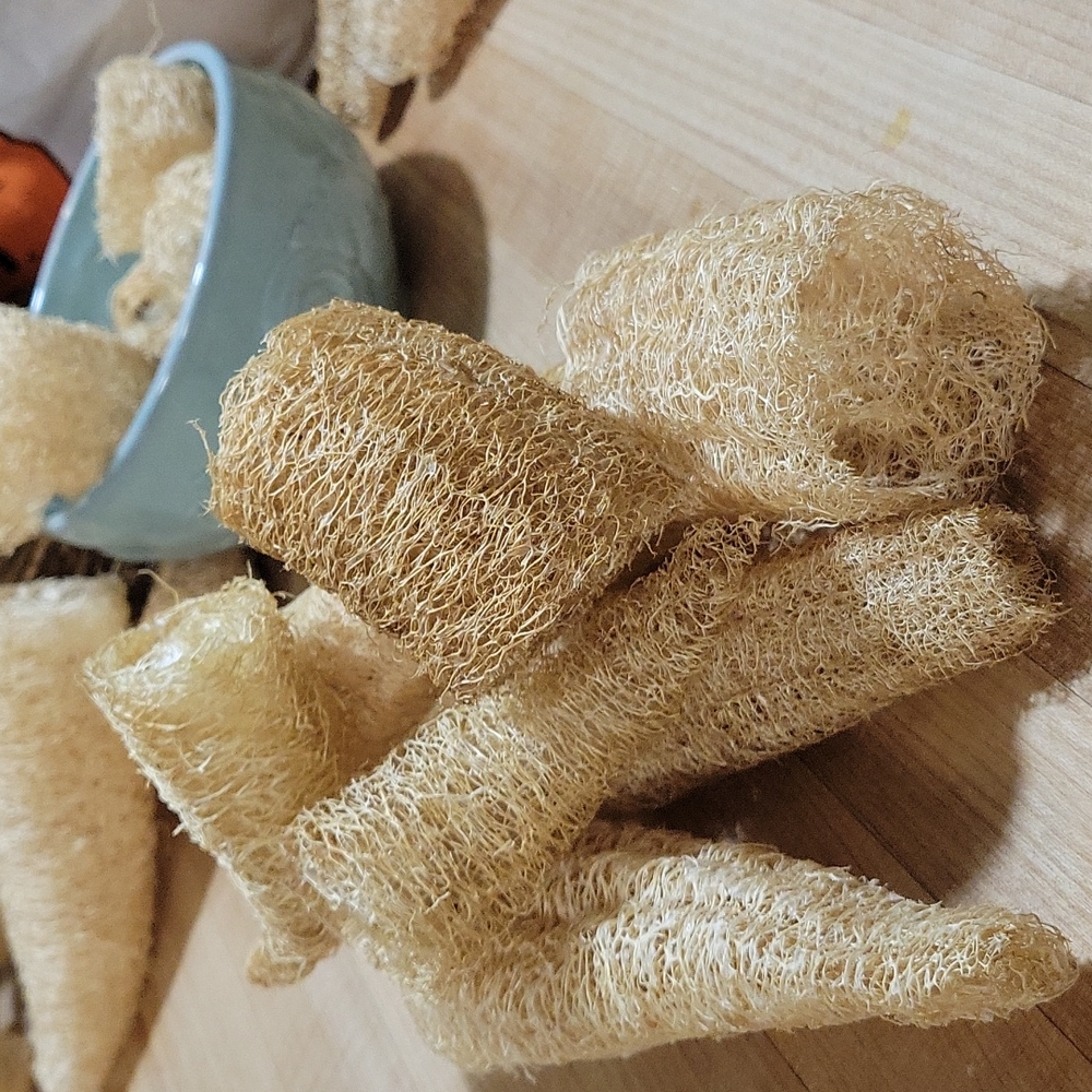 Loofah. All natural.  Peices. Homegrown.